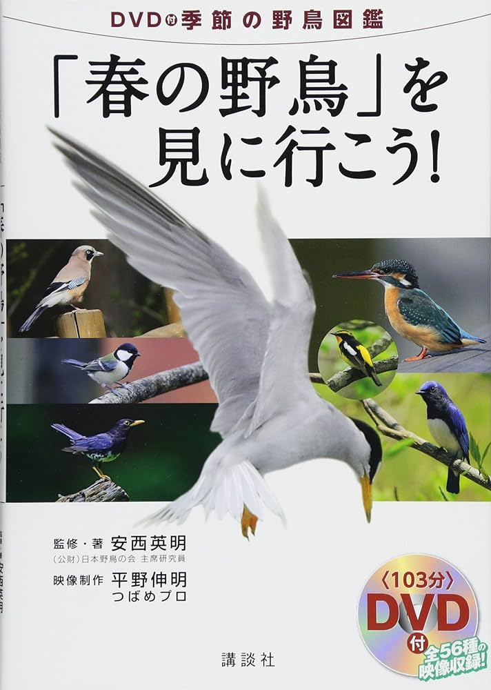 DVD付季節の野鳥図鑑「春の野鳥」を見に行こう! | 安西 英明